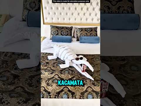 PETUGAS HOTEL PALING KREATIF❗️ thumbnail