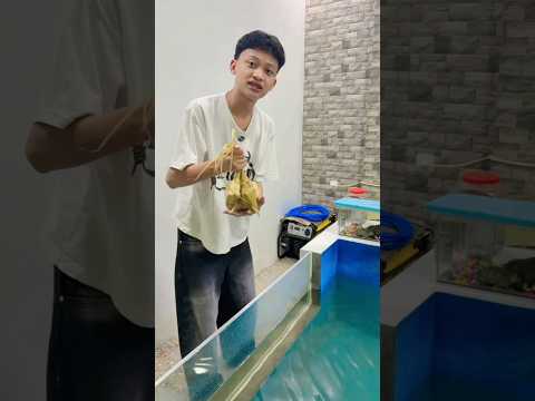 IKAN GASUKA KETUPAT ABANG IMEH😂| NURRAYNI25 thumbnail