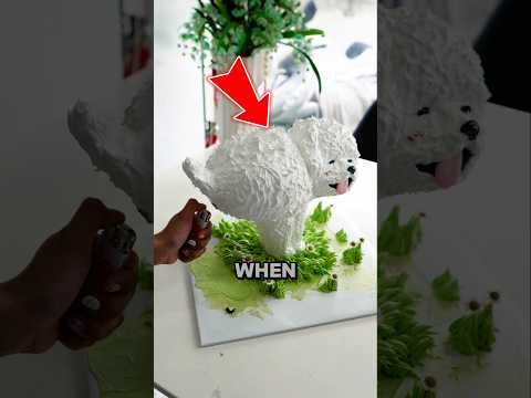 Weird Dog Cake ? thumbnail