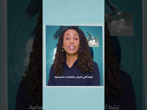 أغنية الحوت | سعاد الحارثي | شهر الأرض مع مستكشفي ناشونال جيوغرافيك | ناشونال جيوغرافيك أبوظبي thumbnail