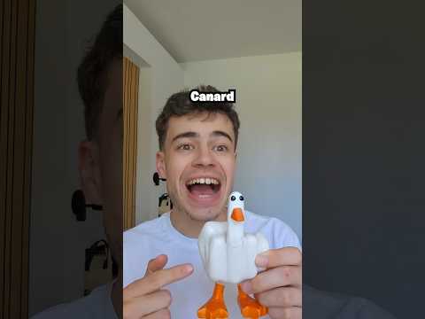 Comment a-t-on commencé à traduire des langues ? thumbnail
