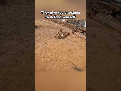 Fighting monkeys in Thailand thumbnail
