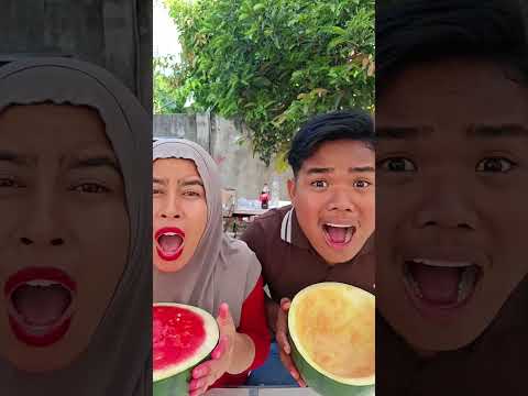 Minta semangka nya dong !!! thumbnail