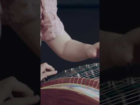 Linkin Park - Numb Guzheng Cover (Shorts ver.) #guzheng #numb #music #guzhengcover #shorts thumbnail