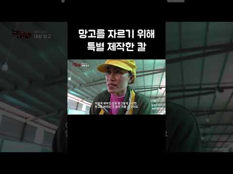망고를 자르기 위해 특별 제작한 칼 #shorts thumbnail