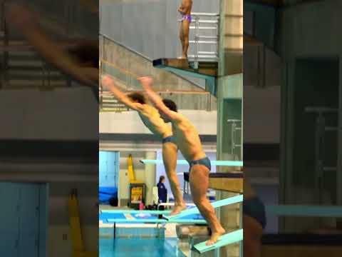 Diving thumbnail