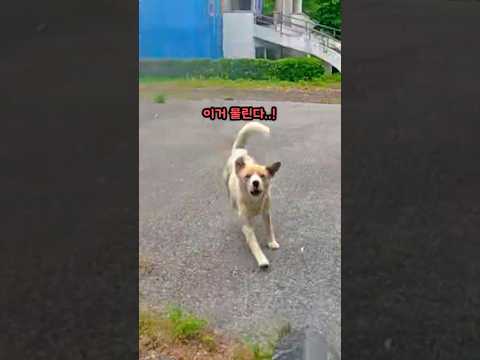 죽을뻔했습니다..! thumbnail
