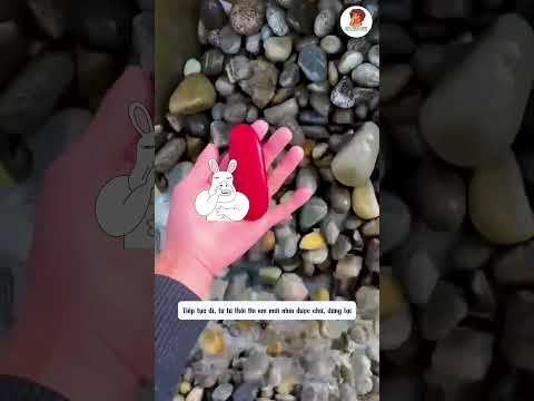 Cuộc Săn Đá Bất Ngờ – Càng Đào Càng Có Kết Quả thumbnail