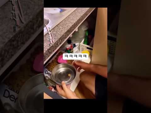 사료 딱 한알만 줘보자 강아지 반응 thumbnail