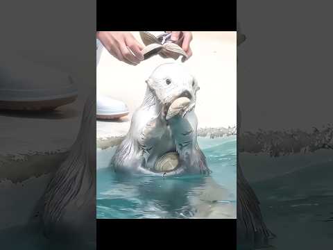 Sea Otters will never tell you these things! thumbnail