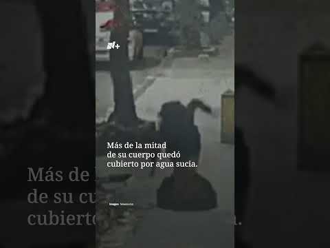 Mujer cae a una coladera por estar viendo su teléfono | N+ thumbnail