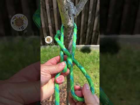 Triple Knot thumbnail