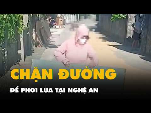 Clip người phụ nữ mang tôn, gỗ chặn đường ô tô để phơi lúa thumbnail