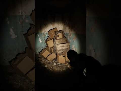 Hidden Gold Bar Found After Years Underground! ? #Gold #LostTreasure #Discovery #ViralShorts thumbnail