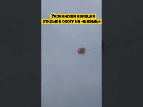 Украинская авиация открыла охоту на «шахеды»! thumbnail