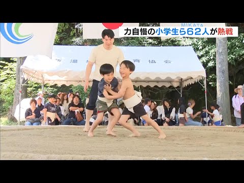 「わんぱく相撲美方場所」小さな力士がぶつかり合い！３歳～小学６年生の男女６２人が熱戦　兵庫・新温泉町（2026年5月17日） thumbnail