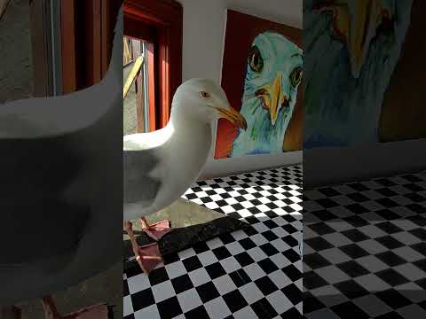 What Happens If I Don't Feed My Pet Seagull? thumbnail