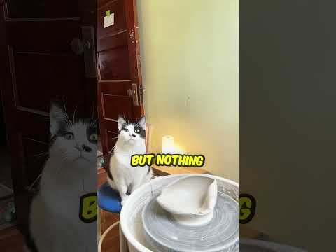 This Cat Loves Making Clay Pots ?? thumbnail
