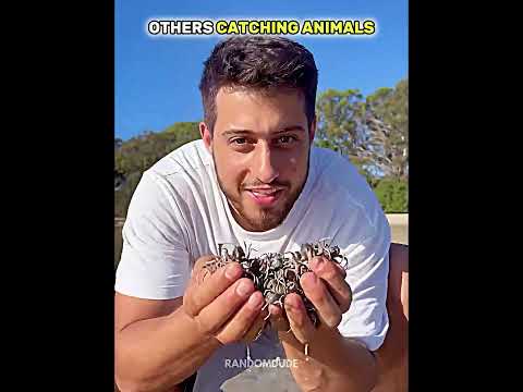 Normal skill VS King of catching animals thumbnail