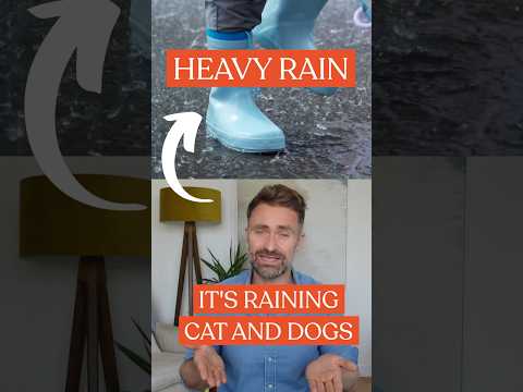 Stop saying "It’s raining cats and dogs" ❌ thumbnail