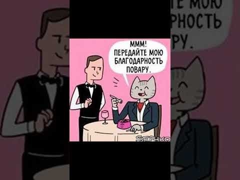 Мем про кота в ресторане thumbnail