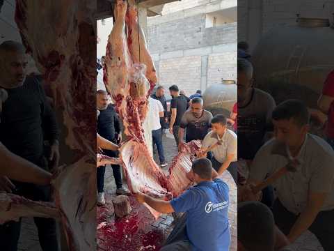 Tüm Dana Nasıl Parçalanır thumbnail
