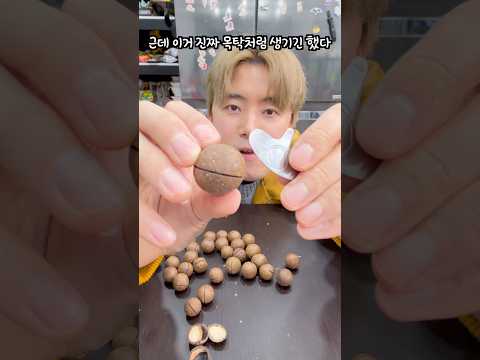 스님이 치는 목탁처럼 생긴 열매를 먹어보자 thumbnail