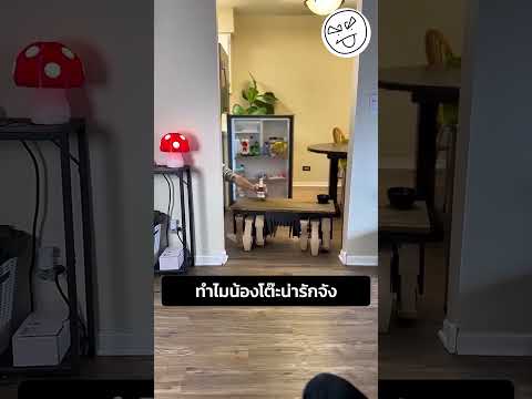 ทำไมน้องโต๊ะน่ารักจัง thumbnail