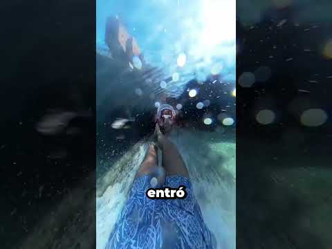 Pensó Que Los Delfines Ya No Estaban 😨🐬 thumbnail