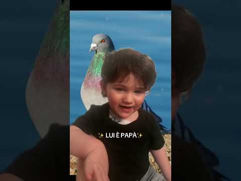 Vi prego guardatelo fino alla fine non smetto più di ridere 🤣 thumbnail