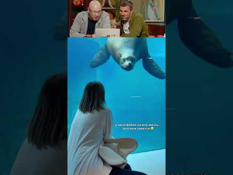 ЗАСМЕЯЛСЯ - ПОДПИСАЛСЯ! Ч.256😅 ОЧЕНЬ СМЕЮСЬ! thumbnail