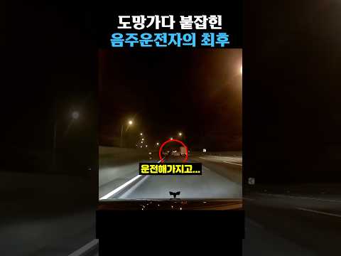 도망가다 붙잡힌 음주운전자의 최후 thumbnail