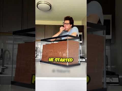 MrBeast's Biggest Fan in the World ?? thumbnail