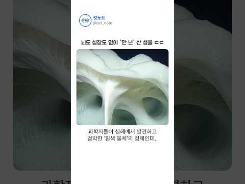인류 문명보다 오래 산 '만 년 된 생명체'의 실제 모습 thumbnail