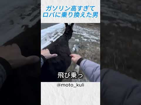 ガソリン高すぎてロバに乗り換えた男@moto kuli #バイカー #バイク #shorts thumbnail