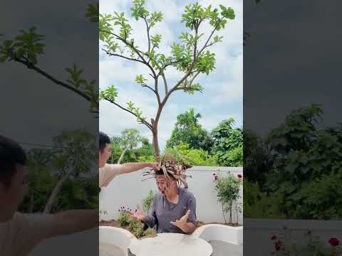 Sinh nhật đáng nhớ của chàng trai nghèo | Tân ối á thumbnail