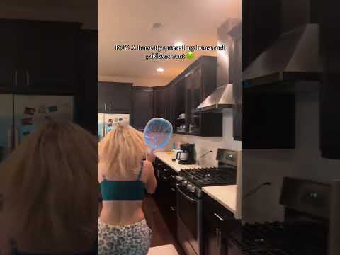 The best way to kill a fly ? thumbnail