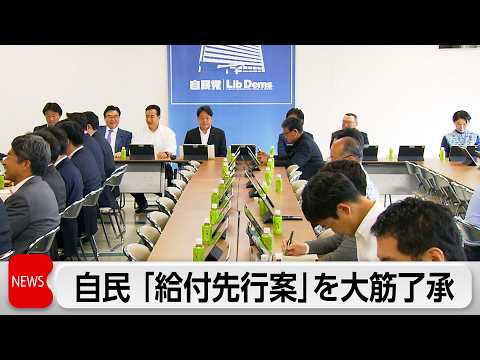 国民会議の実務者会議で提示された制度案に大筋で了承 thumbnail