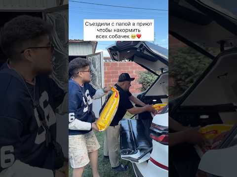 Накормили хвостиков 🐕🐈‍⬛❤️ thumbnail