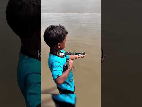 Một con cá lớn đã mắc vào lưới?????? #shortsvideo thumbnail