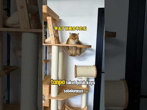 Si bontot dikerjain lagi sama majikan thumbnail