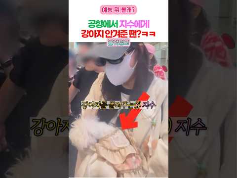 반려견과 닮은 강아지를 만난 지수 thumbnail