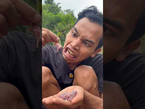 Ngambil anak tikus thumbnail