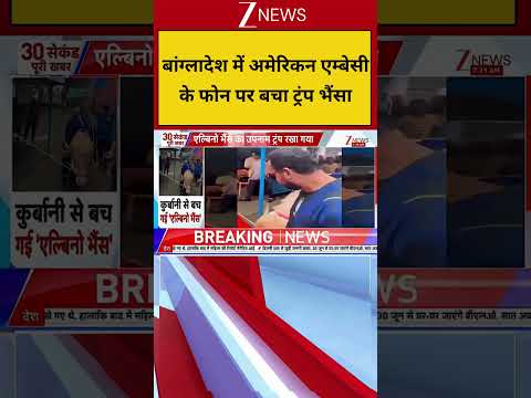 Trump Buffalo: बांग्लादेश में अमेरिकन एम्बेसी के फोन पर बचा ट्रंप भैंसा! thumbnail