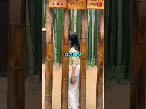 Kebohongan yang Berasal Dari Jepang thumbnail