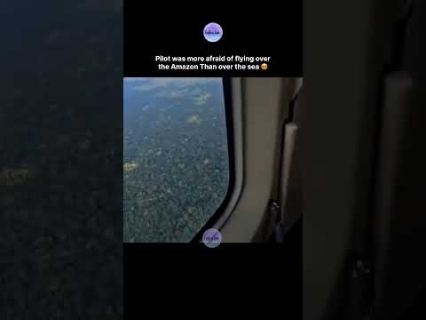 Pilot was more afraid of flying over the Amazon Than over the sea 😍 thumbnail