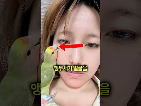 앵무새가 주인 얼굴을 파먹기 시작한 이유 🦜 thumbnail