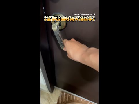 【變臉變超快】久違回家黑貓哈氣　認出奴才後秒變撒嬌精XD｜#寵物雲 #shorts thumbnail