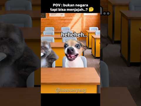 siapakah mereka itu ? 😰 #quiz #memes #cat #kucinglucu #komedi thumbnail