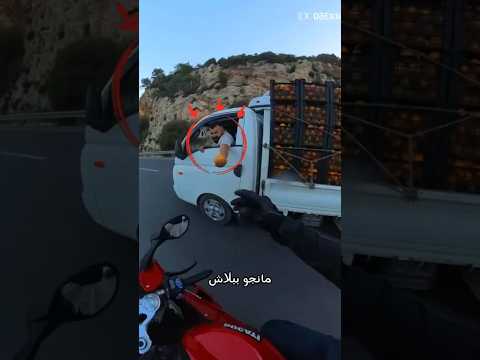 ندم سارق المانجو 🥭🏍️ thumbnail